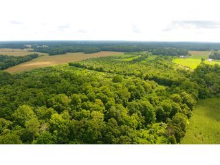 TRACT 46 - ILLINOIS LAND AUCTION - 4,810+/- ACRES OFFERED IN 85 TRACTS IN FRANKLIN, WILLIAMSON, HAMILTON & SALINE COUNTIES, ILLINOIS